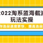 2022淘系蓝海截流玩法实操：让你选品速度更快，提高选品质量（价值599）