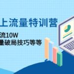 2023线上流量特训营：中小卖家流量破局技巧等等