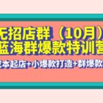 无招店群·蓝海群爆款特训营(10月新课) 低成本起店 小爆款打造 群爆款维护