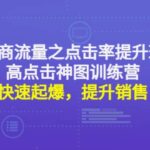 电商流量之点击率提升班 高点击神图训练营：快速起爆，提升销售