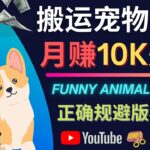 搬运TIKTOK视频到YouTube，并进行二次创作，月赚1万美元以上