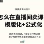 晓静老师-直播卖课的语法课，直播间卖课模版化 公式化卖课变现