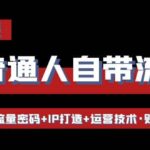 让普通人自带流量的逆袭课：流量密码 IP打造 运营技术·财富路径