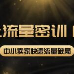 2022秋秋线上流量密训16.0：包含 暴力引流10W 中小卖家流量破局技巧 等等！