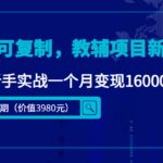 简单可复制，教辅项目新玩法（第2期 课程 资料)