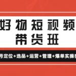 好物短视频带货班：账号定位 选品 运营 管理 爆单实操密码