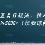 虚拟项目垂直类目玩法，新人快速起店，月入5000 【视频课程】