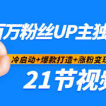 百万粉丝UP主独家秘诀：冷启动 爆款打造 涨粉变现2个月12W粉（21节视频课)