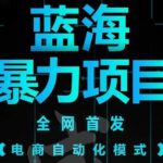 引流哥蓝海暴力躺赚项目：无需发圈无需引流无需售后，每单赚50-500（教程 线报群)