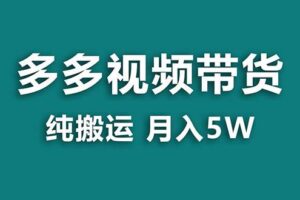 【蓝海项目】多多视频带货，靠纯搬运一个月搞5w，新手小白也能操作【揭秘】