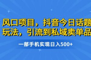 风口项目，抖音今日话题玩法，引流到私域卖单品，一部手机实现日入500