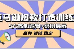 亚马逊爆款打造训练营：5大核心逻辑 案例展示 打造爆款链接 高效 省钱 稳定