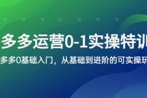 拼多多-运营0-1实操训练营，拼多多0基础入门，从基础到进阶的可实操玩法