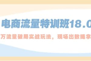 电商流量特训班18.0，直引万流量破局实操玩法，现场出数据拿结果