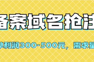 【全网首发】备案域名抢注，一单利润300-500元，需求量大