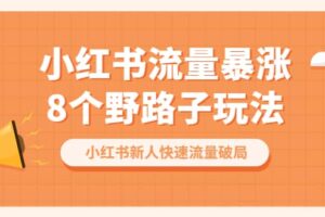 小红书流量-暴涨8个野路子玩法：小红书新人快速流量破局（8节课）