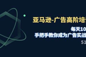 亚马逊-广告高阶培训班，每天10分钟，手把手教你成为广告实战高手（51节）