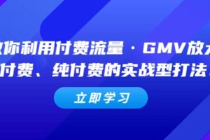 教你利用付费流量·GMV放大，微付费、纯付费的实战型打法