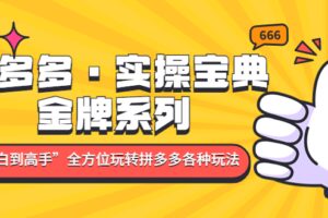 拼多多·实操宝典：金牌系列“小白到高手”带你全方位玩转拼多多各种玩法