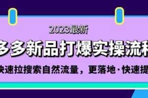 拼多多-新品打爆实操流程：轻松快速拉搜索自然流量，更落地·快速提升