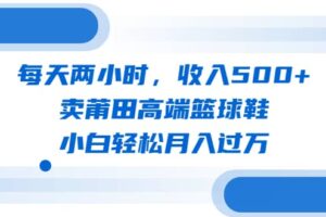 每天两小时，收入500 ，卖莆田高端篮球鞋，小白轻松月入过万（教程 素材）