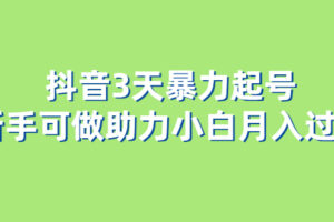 抖音3天暴力起号新手可做助力小白月入过万