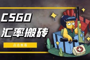 外面9800的CSGO汇率搬砖项目【选品软件 详细教程】