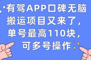 有驾APP口碑无脑搬运项目又来了，单号最高110块，可多号操作