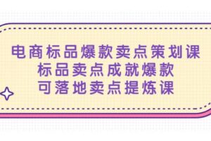 电商标品爆款卖点策划课，标品卖点成就爆款，可落地卖点提炼课