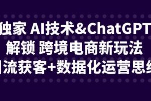 独家 AI技术ChatGPT解锁 跨境电商新玩法，引流获客 数据化运营思维