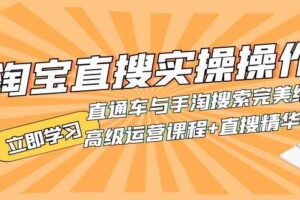 淘宝直搜实操操作 直通车与手淘搜索完美结合（高级运营课程 直搜精华实战）