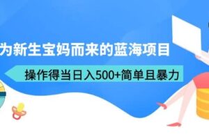 专为新生宝妈而来的蓝海项目，操作得当日入500 简单且暴力（教程 工具）