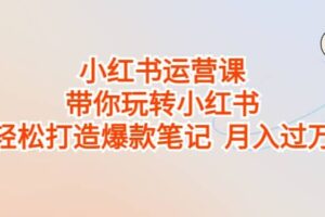 小红书运营课，带你玩转小红书，轻松打造爆款笔记 月入过万