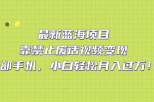 最新蓝海项目，靠禁止废话视频变现，一部手机，小白轻松月入过万！