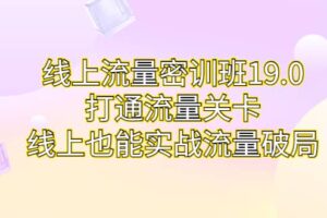 线上流量密训班19.0，打通流量关卡，线上也能实战流量破局