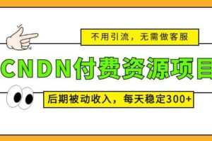 CNDN付费资源项目，不用引流，无需做客服，后期被动收入