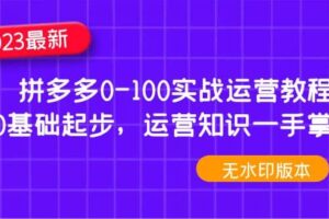 2023拼多多0-100实战运营教程，0基础起步，运营知识一手掌握（无水印）