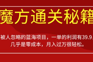 被人忽略的蓝海项目，魔方通关秘籍一单利润有39.9，几乎是零成本