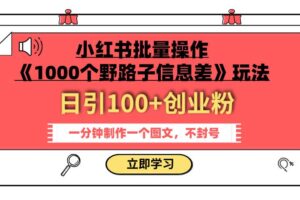 小红书批量操作《1000个野路子信息差》玩法 日引100 创业粉 一分钟一个图文