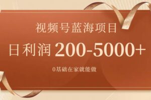 视频号蓝海项目，0基础在家也能做，一天200-5000 【附266G资料】