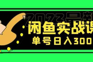 花599买的闲鱼项目：2023最新闲鱼实战课（7节课）